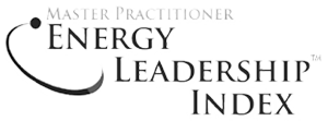master practitioner energy leadership index
