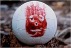 photo of wilson from cast away